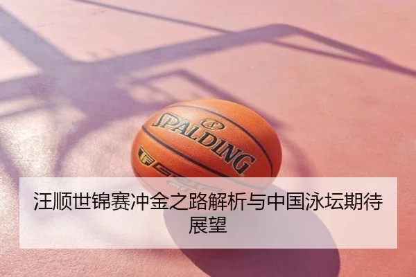 汪顺世锦赛冲金之路解析与中国泳坛期待展望