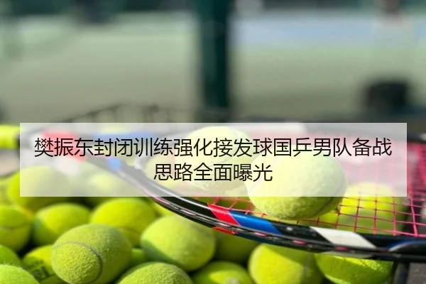 樊振东封闭训练强化接发球国乒男队备战思路全面曝光